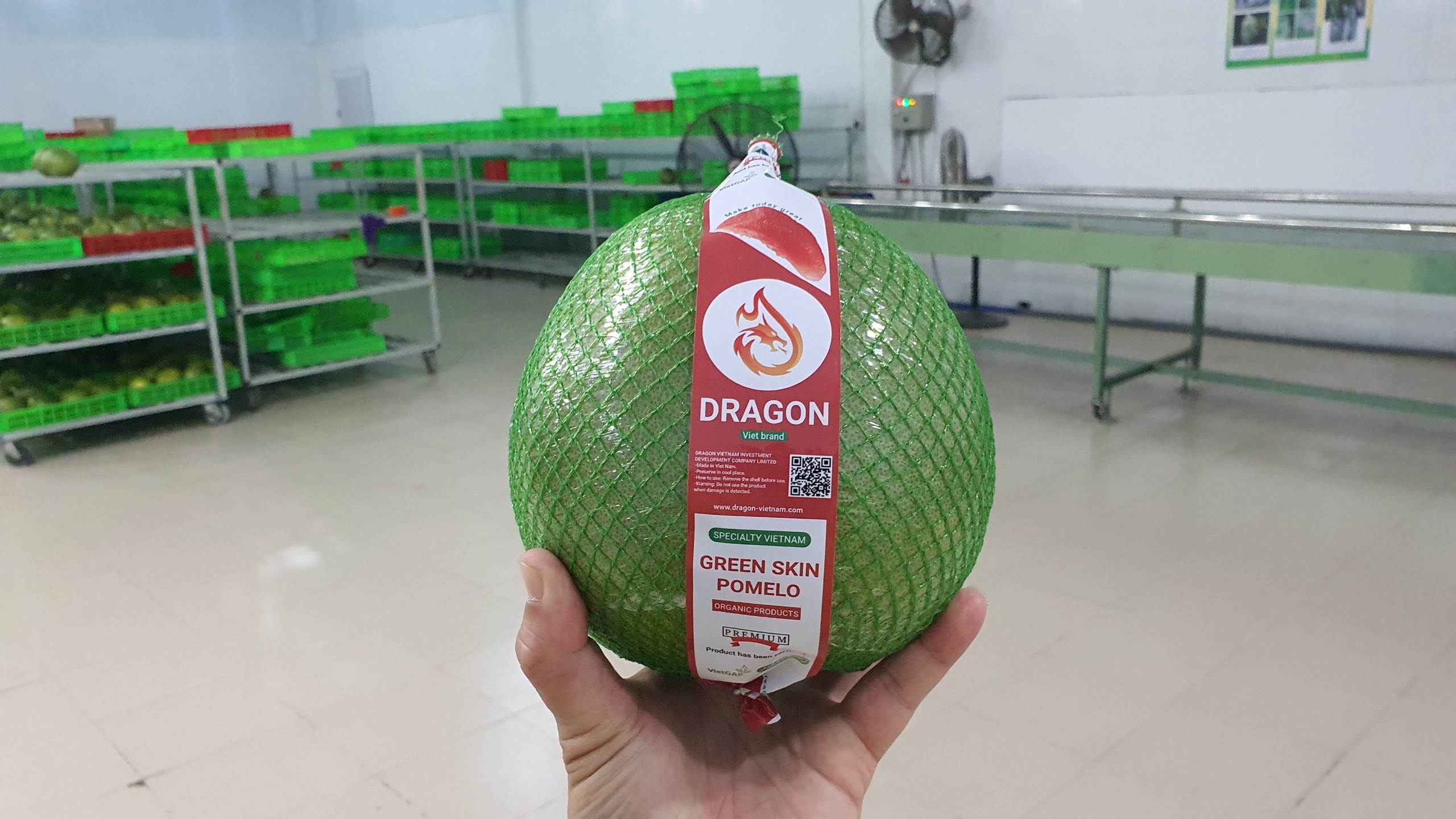 https://dragon-vietnam.com/70a877a047f29ab48bcb489b3c392c45 (1)